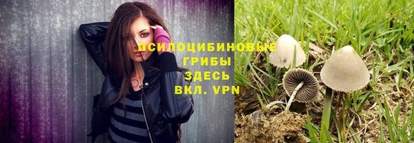 apvp Покачи