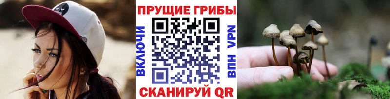 Галлюциногенные грибы Magic Shrooms  сколько стоит  Азов 